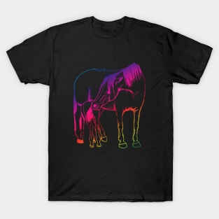 Foal and mare Rainbow T-Shirt